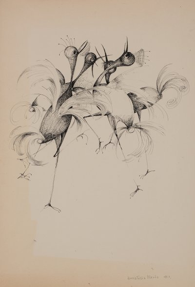 Pájaros de Donatella Merlo