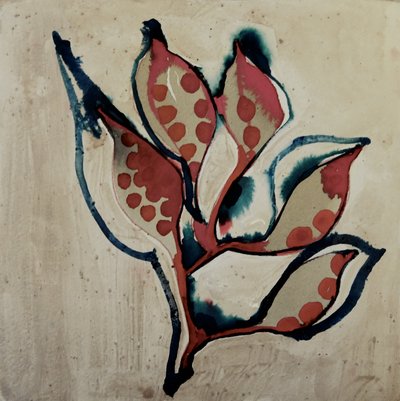 Vainas abstractas de Doris Schmitz