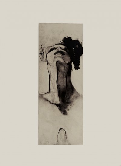 Estudio del perfil alargado de Doris Schmitz