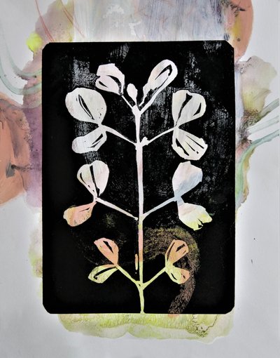 Estudio botánico al pastel de Doris Schmitz