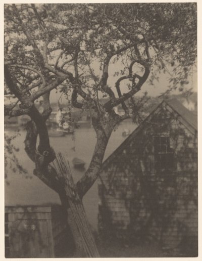 Escena del puerto, probablemente Gloucester, Massachusetts de Doris Ulmann