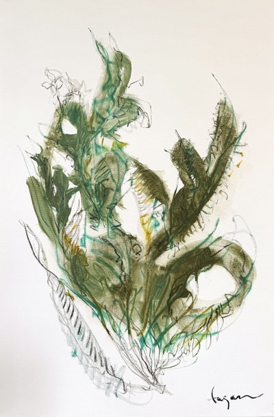  de Dorothy Fagan