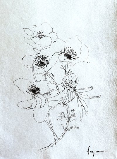  de Dorothy Fagan
