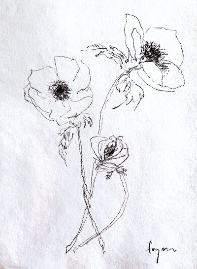 Boceto de una flor delicada de Dorothy Fagan