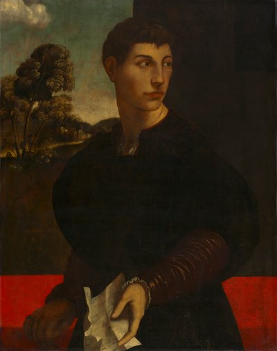 Retrato de un joven, c. 1530 (óleo y oro sobre madera) de Dosso (follower of) Dossi