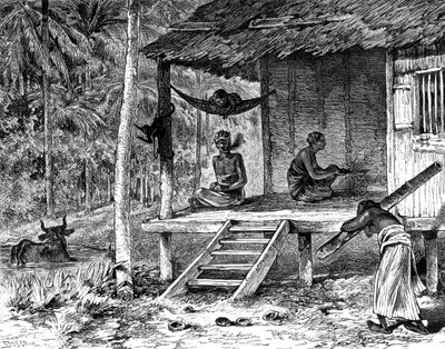 Cabaña malaya, siglo XIX de Dosso