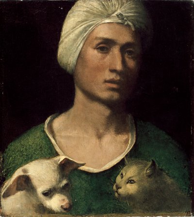 Retrato de un joven sosteniendo un perro y un gato de Dosso Dossi