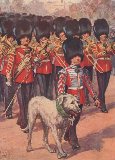 La banda y el lobero mascota de la Guardia Irlandesa llevando el trébol el día de San Patricio (litografía en color) de Douglas (after) Macpherson