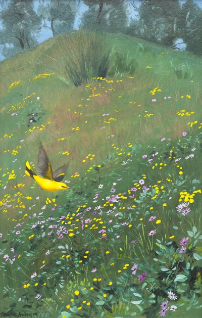Oriel dorado en flores de primavera de Douglas Anderson