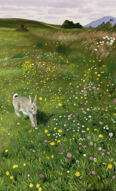 Liebre en flores de primavera de Douglas Anderson