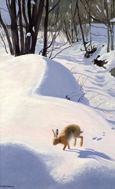 Liebre en la nieve de Douglas Anderson