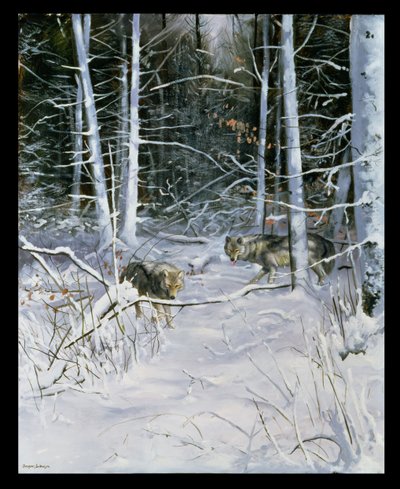 Lobos en un bosque nevado de Douglas Anderson