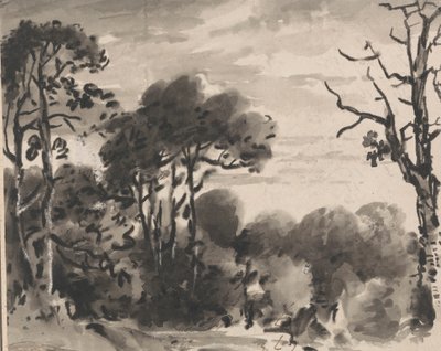 Composición: El borde de un bosque de Dr. Thomas Monro