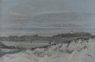 Costa con dunas de Dr. Thomas Monro