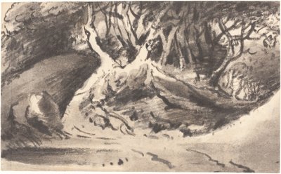 Paisaje boscoso de Dr. Thomas Monro
