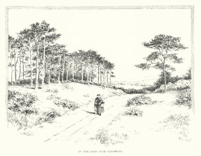 En la carretera cerca de Hindhead (litografía) de Duncan Moul