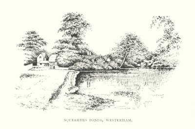 Estanques Squerryes, Westerham (litografía) de Duncan Moul