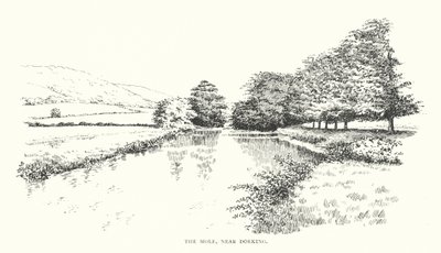 The Mole, cerca de Dorking (litografía) de Duncan Moul