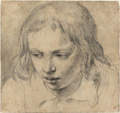 Cabeza de un Joven (recto) de Dutch 17th Century