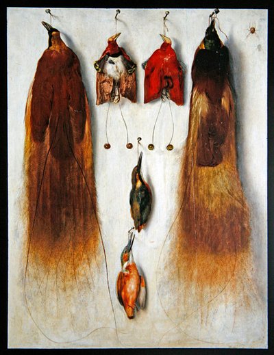 Aves del paraíso de Dutch School