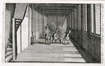 Traslado de árboles al jardín para el verano, de De Nederlandze Hesperides por Jan Commelin, publicado en 1676 de Dutch School
