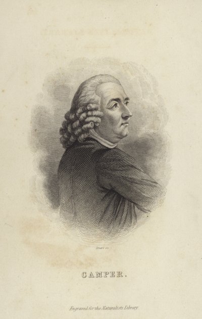 Petrus Camper de Dutch School