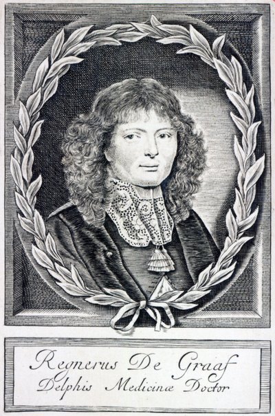 Regnier de Graaf, c.1670 de Dutch School