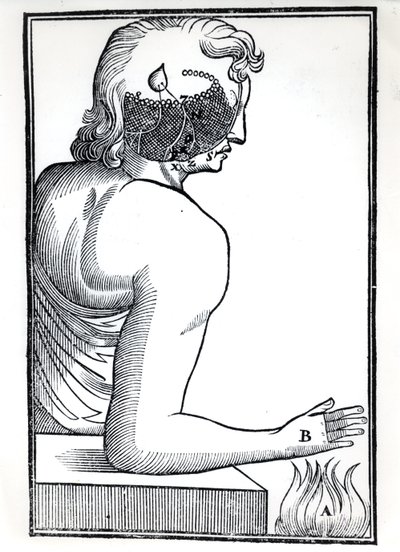 La percepción de los sentidos, de De Homine Figuris por René Descartes (1596-1650) publicado en Ámsterdam, 1677 de Dutch School