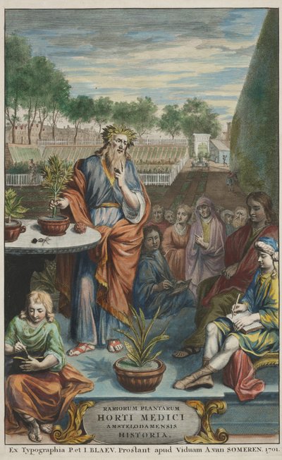 Portada de "Horti Medici Amstelodamensis Rariorum Plantarum Historia" vol. II, de Jan Commelin y Caspar Commelin de Dutch School