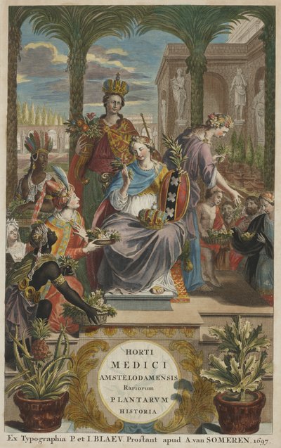 Portada de "Horti Medici Amstelodamensis Rariorum Plantarum Historia" vol. I, de Jan Commelin de Dutch School