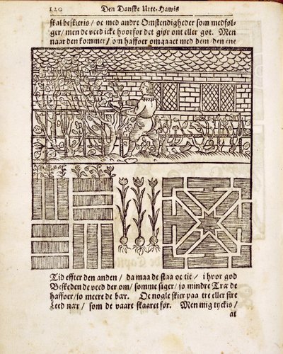 Entrenamiento y plantación en el jardín, de The Dutch Gardener, por Johann van der Groen, publicado en 1699 de Dutch School