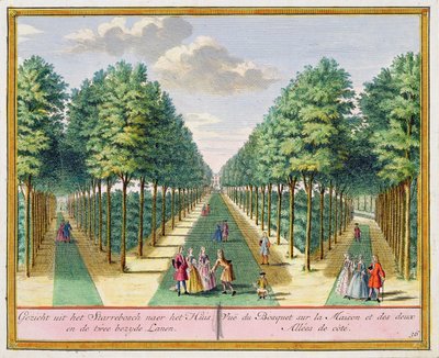Vista del bosque hacia la casa y las dos avenidas laterales, Watervliet, de Het Zegenpralent Kennemerlant, por Hendrick de Leth y Matthias Brouerius Van Nidek, publicado c.1700-1730 de Dutch School