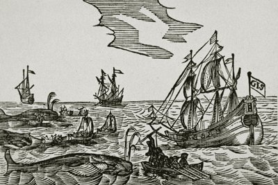 Barcos balleneros, del 