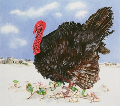 Pavo negro con bayas de nieve, 1996 de E.B. Watts