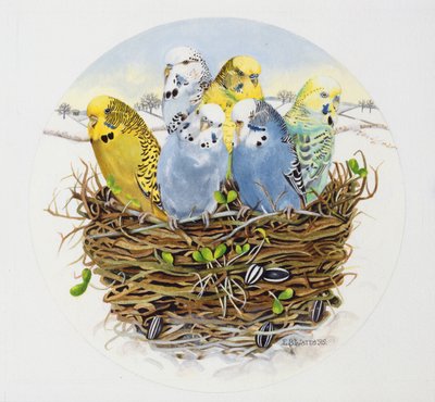 Periquitos en un nido, 1995 de E.B. Watts