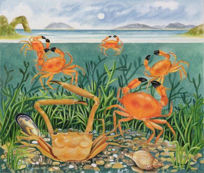 Cangrejos en el océano, 1997 de E.B. Watts