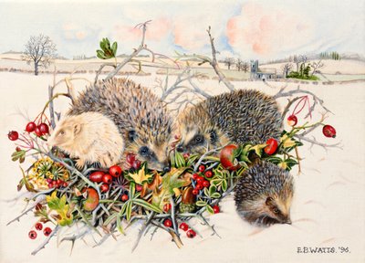 Erizos en una cesta de seto, 1996 de E.B. Watts