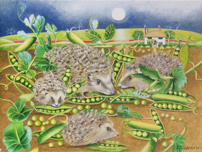 Erizos con guisantes junto a un campo de amapolas por la noche, 1994 de E.B. Watts