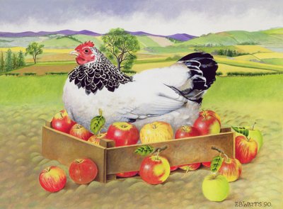 Gallina en una caja de manzanas, 1990 de E.B. Watts