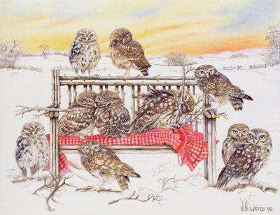 Búhos pequeños en banco de ramitas, 1999 de E.B. Watts