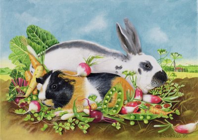 Conejo y cobaya, 1998 de E.B. Watts