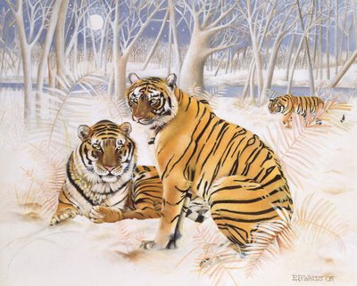 Tigres en la Nieve, 2005 de E.B. Watts