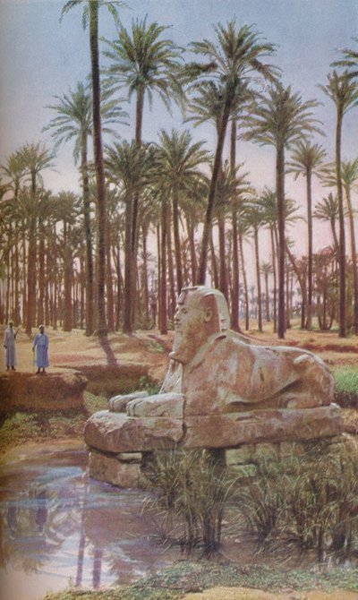 Egipto, c1930s de ENA