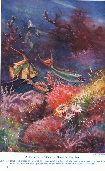 Un paraíso de belleza bajo el mar, ilustración de 