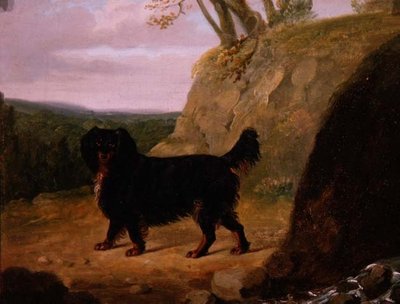 Un Cocker Spaniel en el Paisaje de E.W. Gill