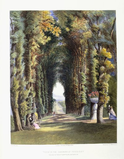 Vista en los jardines de Teddesley, asiento del muy honorable Lord Hatherton, 1857 de E. Adveno Brooke