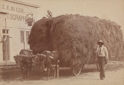 Impresión de albúmina de un hombre con un carro lleno de heno, 1894-1904 de E. K. Blush