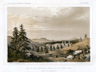 El Bosque Negro Monte Hope y Sierra Prieta, EE.UU., 1856 de E Stout