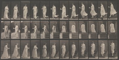 Locomoción animal. Una investigación electrofotográfica... de los movimientos animales. Comienza..., 1880s. de Eadweard Muybridge