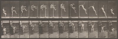 Locomoción Animal. Una Investigación Electro-Fotográfica de Fases Consecutivas de Animales..., 1880s de Eadweard Muybridge